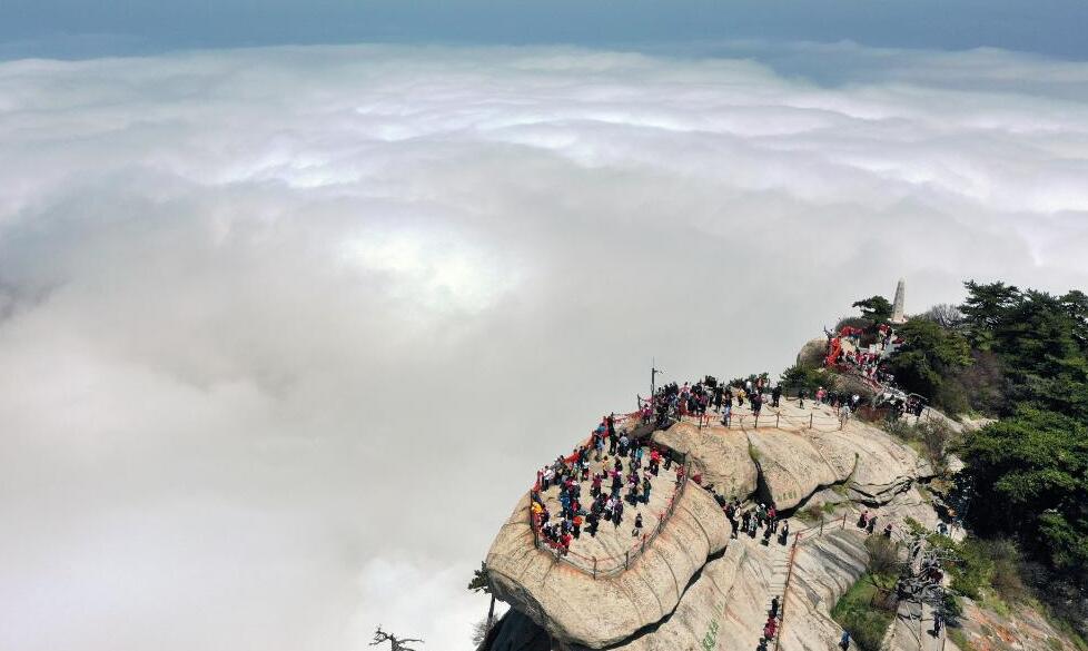 西岳華山：壯麗云海入畫(huà)來(lái)