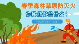 春季森林草原防滅火，你我能做些什么？